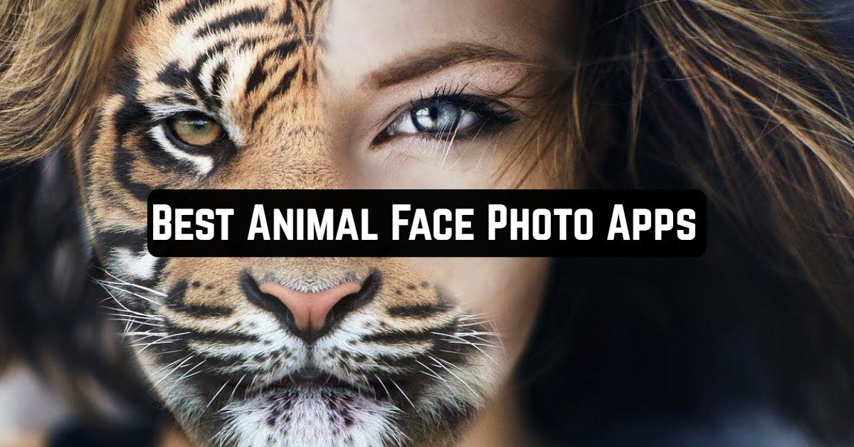 Best Animal Face Photo Apps