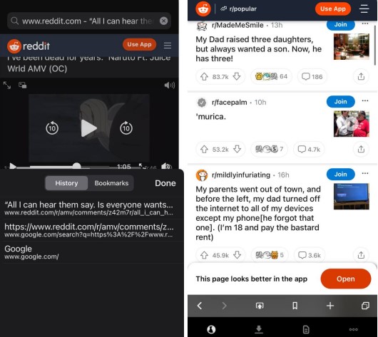 ‎Browser & Offline File Storage10