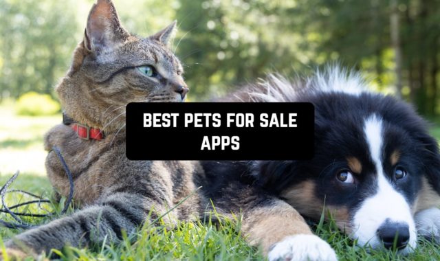 9 Best Pets for Sale Apps in 2024