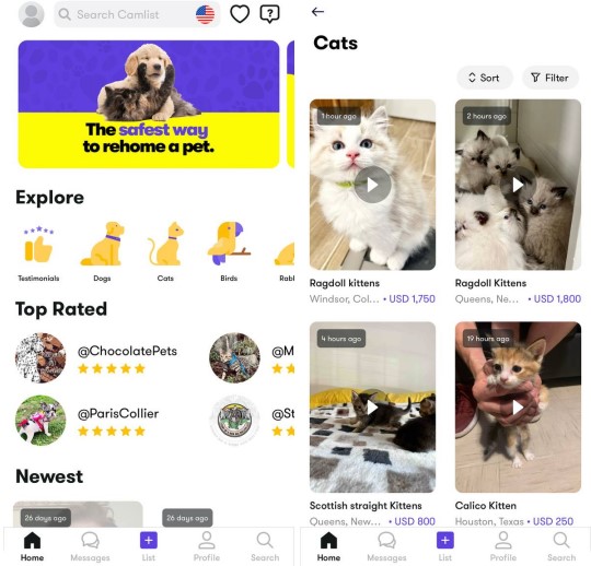 Camlist - Just Pets4