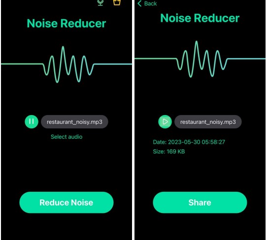Denoise Audio1