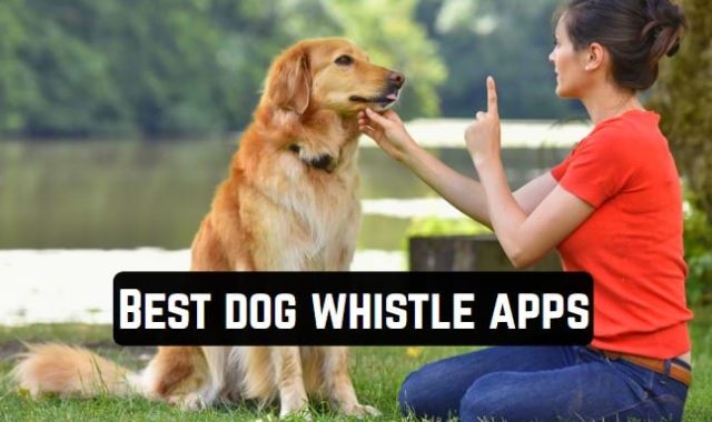 10 Best dog whistle apps for Android & iOS