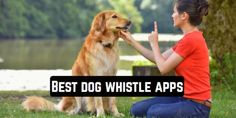 Best dog whistle apps
