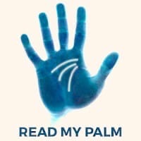 Palm Reader Scanner
