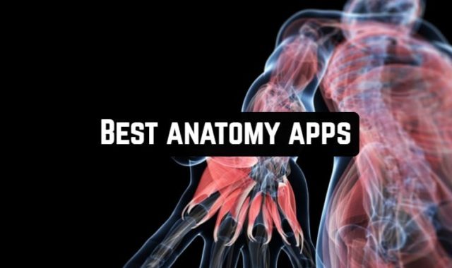 14 Best anatomy apps for Android & iOS