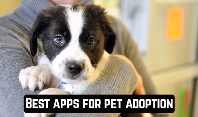 14 Best apps for pet adoption (Android & iOS)