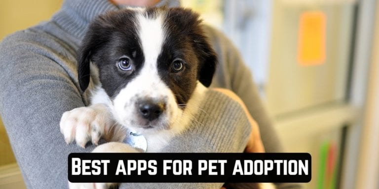Best apps for pet adoption