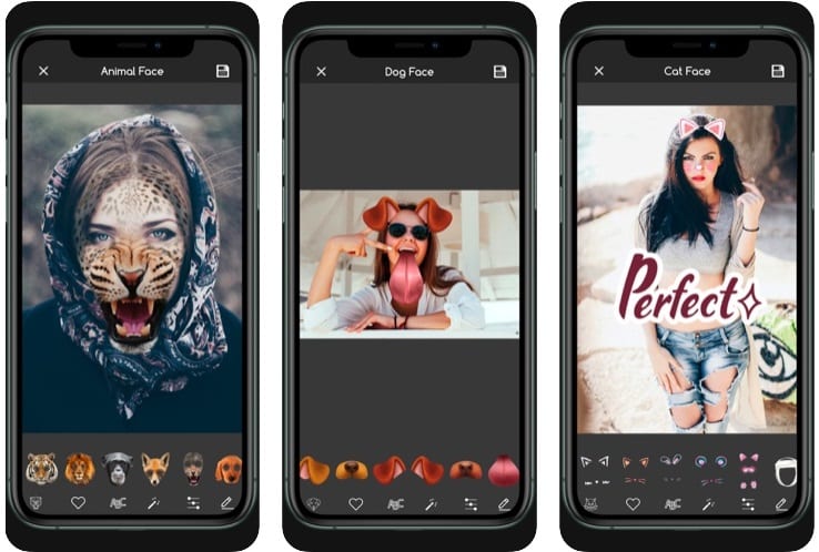 11 Best Animal Face Photo Apps for Android & iOS - App pearl - Best