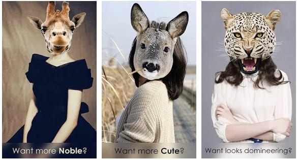 11 Best Animal Face Photo Apps for Android & iOS - App pearl - Best