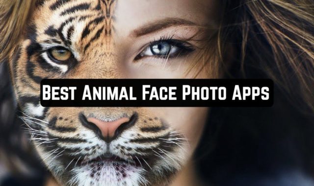 11 Best Animal Face Photo Apps for Android & iOS