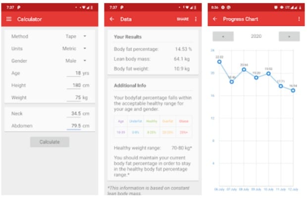 ymca body fat calculator