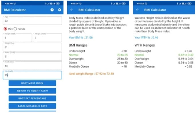 detailed bmr calculator