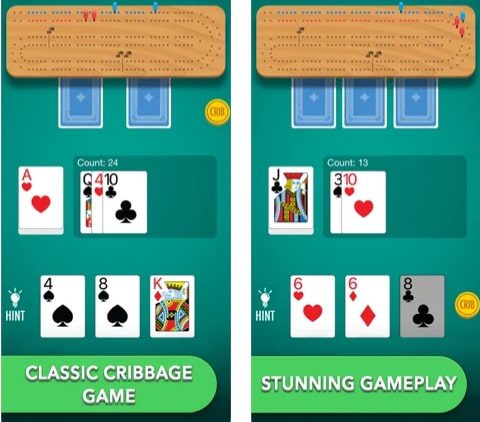 Cribbage 7