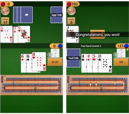 Cribbage Pro 1