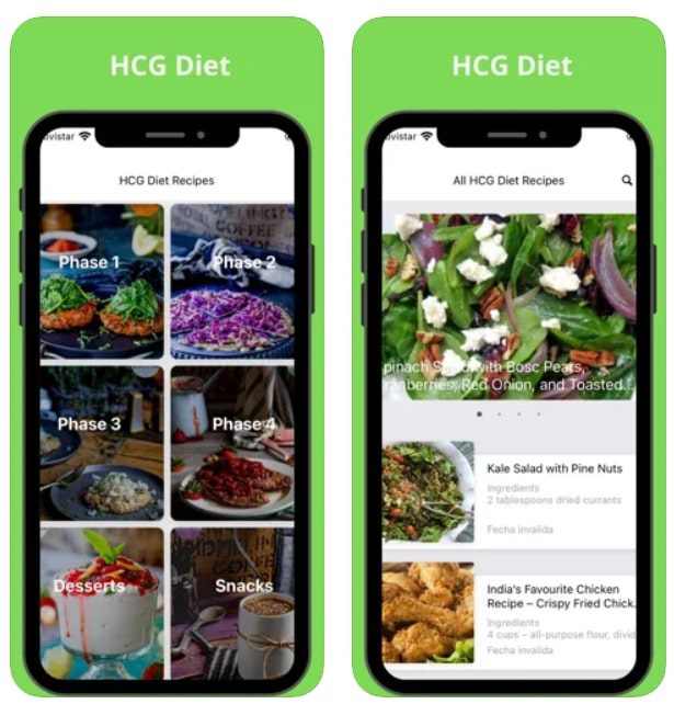 Hcg Diet Recipes App 2