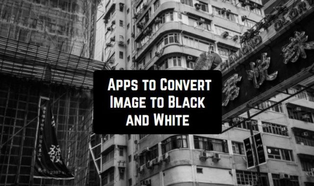 Top 7 Apps to Convert Image to Black and White on Android & iOS