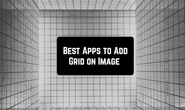 9 Best Apps to Add Grid on Image (Android & iOS)
