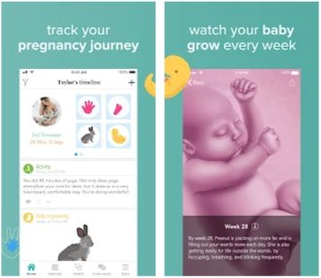 Ovia Pregnancy Tracker: Baby Due Date Countdown10