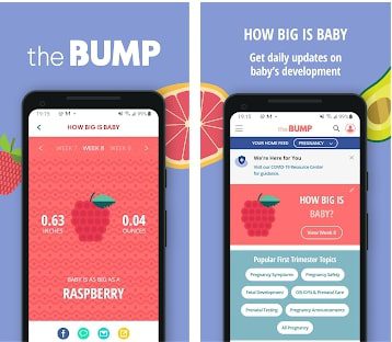The Bump - Pregnancy & Baby Tracker5