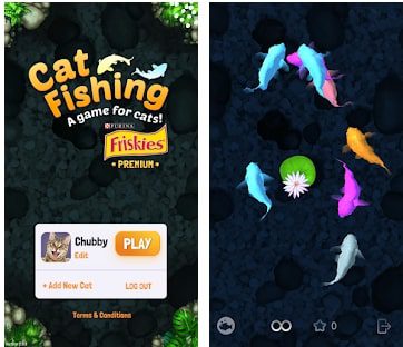 Cat Fishing5