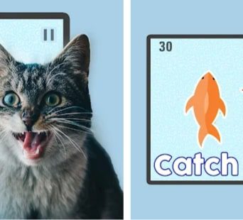 Fish for Cats - Cat Fishing Game2