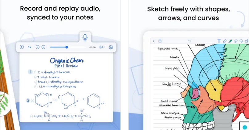 Notability3