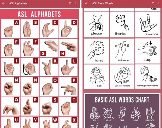 Sign Language for Beginners Guide11