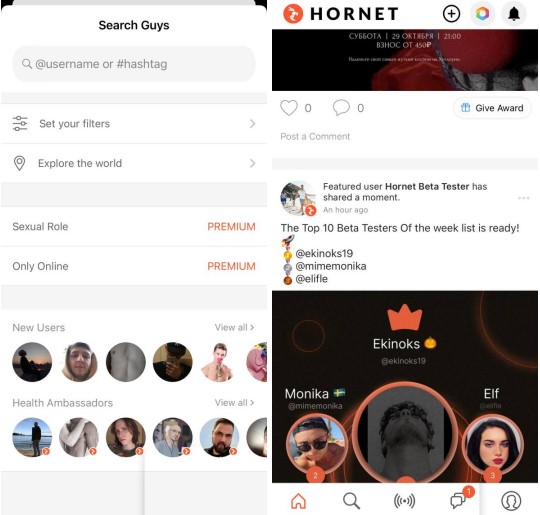 Hornet - Queer Social Network8