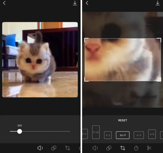 Video Mute: Remove Audio Sound1