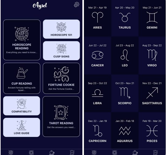 Aysel - Tarot & Horoscope3
