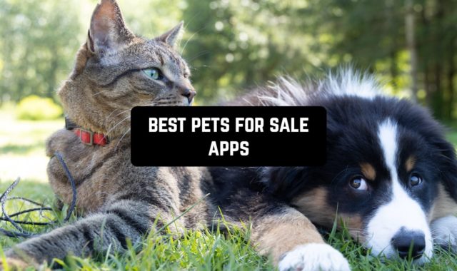 9 Best Pets for Sale Apps in 2023