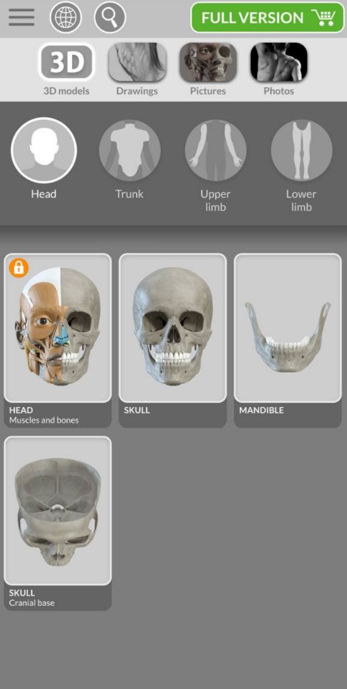 3D Anatomy for the Artist7