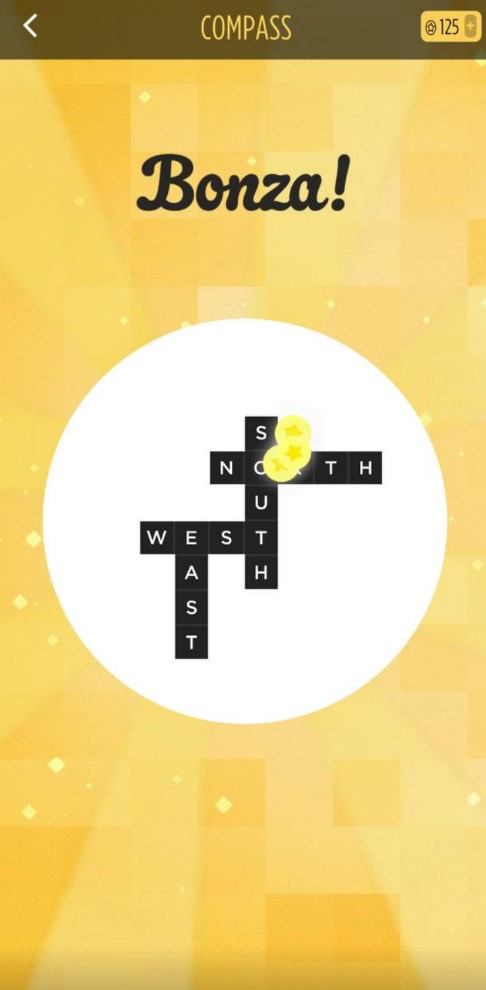 Bonza Word Puzzle5