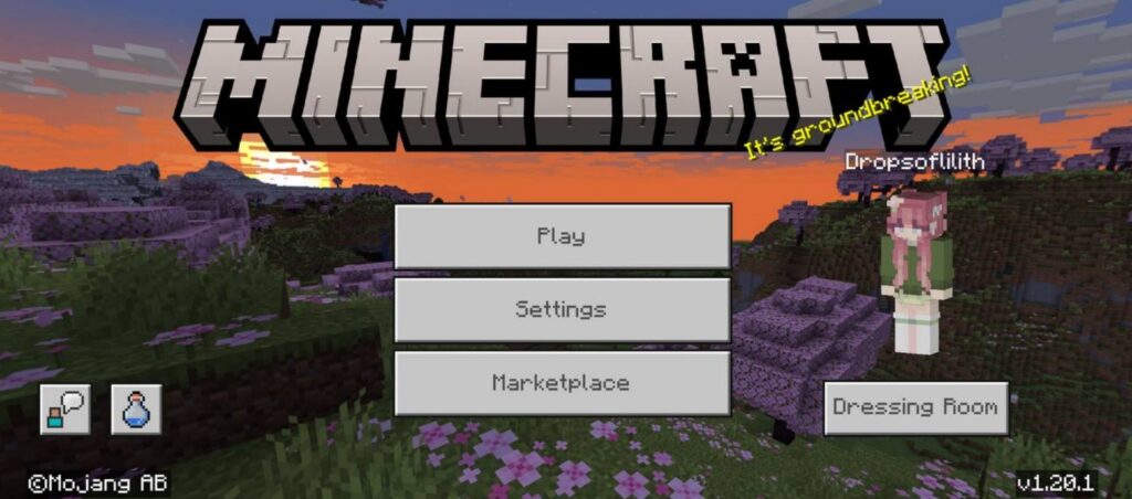 Minecraft10